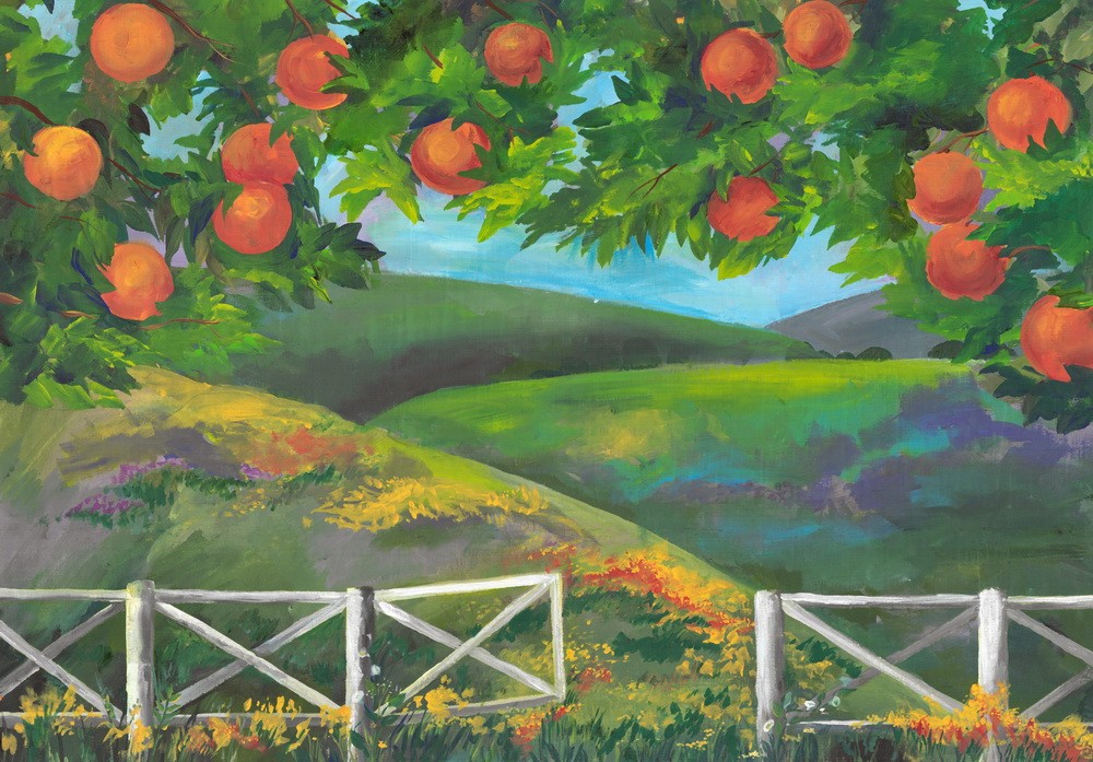 Backdrop "Oranges for Cheburashka"