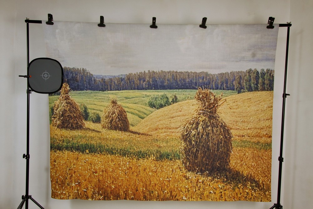 Backdrop "Hay bales in a field"