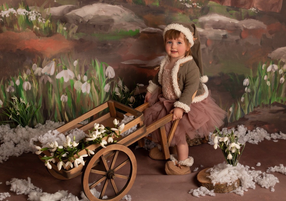 Backdrop "Snowdrops"