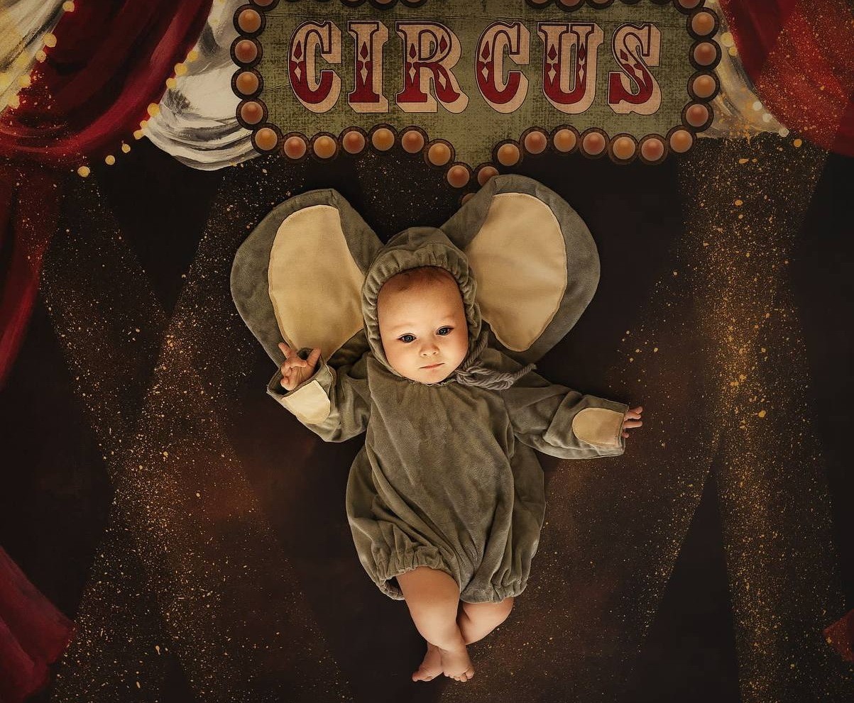 Backdrop "Circus"