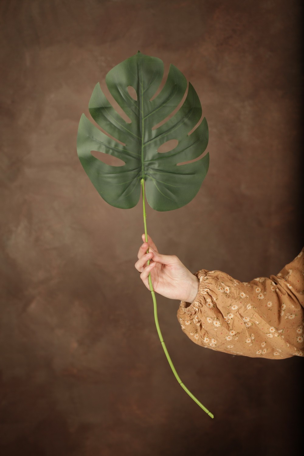 Portrait backdrop "evolution"