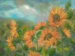 sunflowers